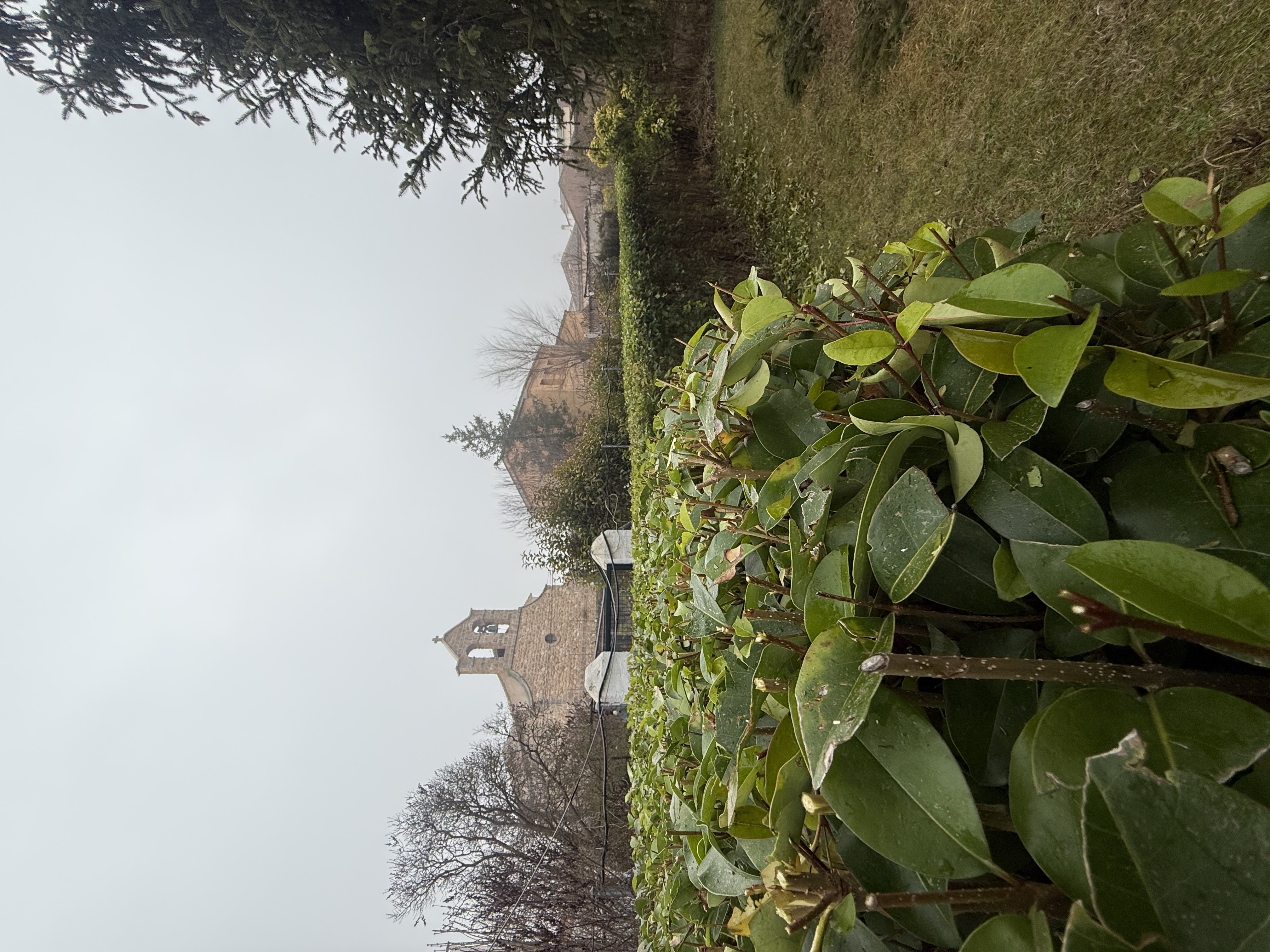 Jardín cuidado - RURALMAT