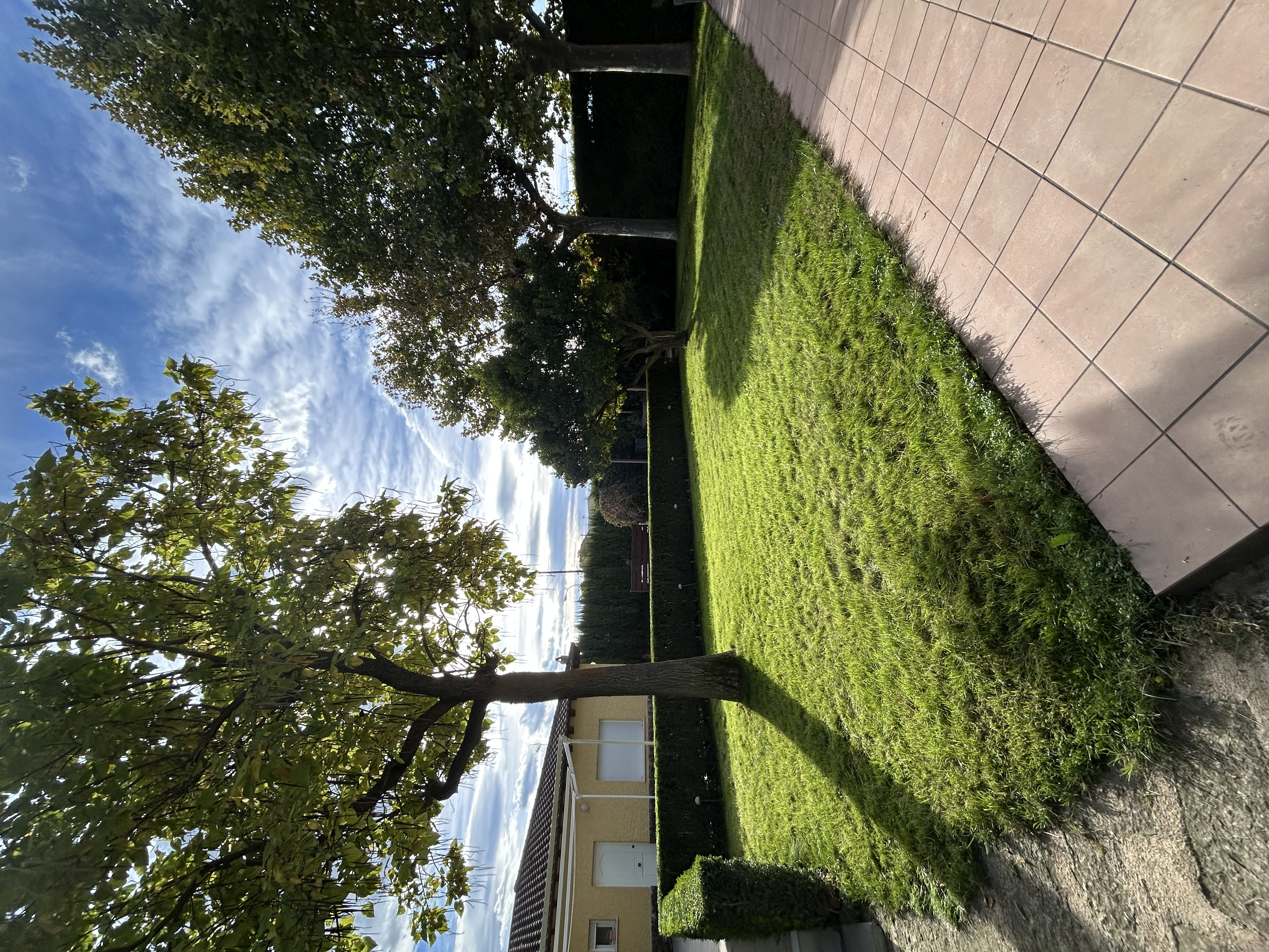 Mantenimiento de pradera - RURALMAT